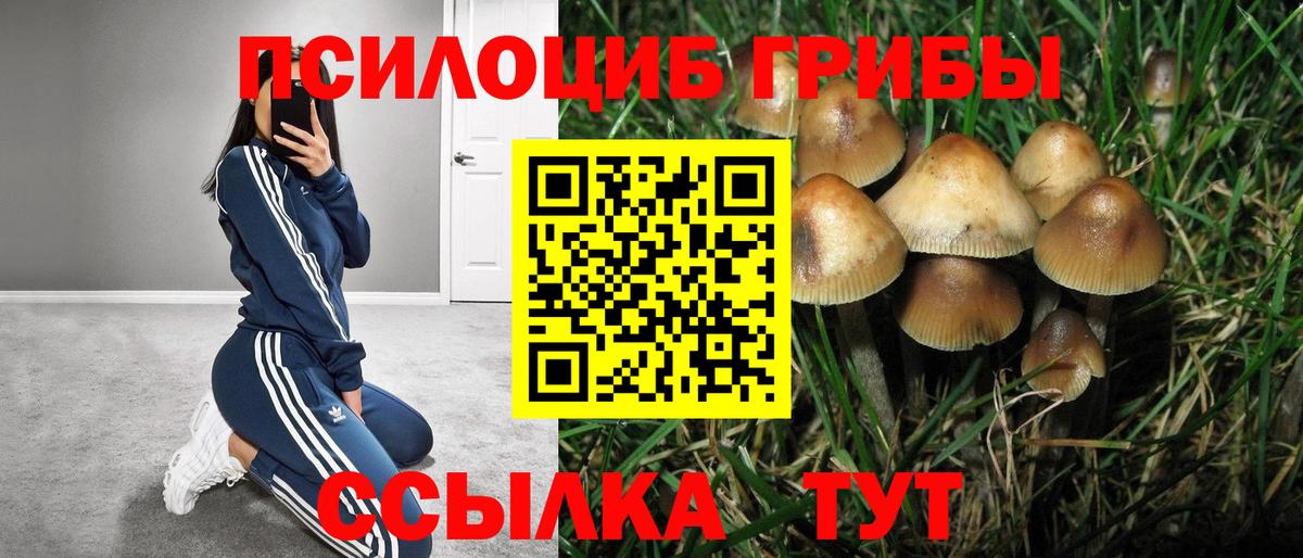Псилоцибиновые грибы GOLDEN TEACHER  Вход с VPN  Ростов Великий 
