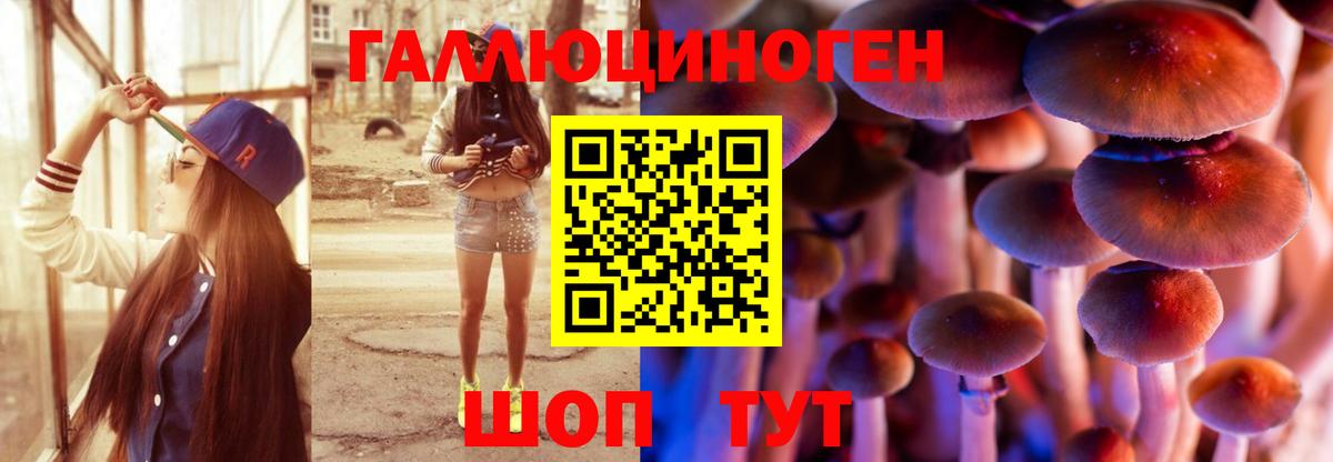 Псилоцибиновые грибы прущие грибы Ростов Великий